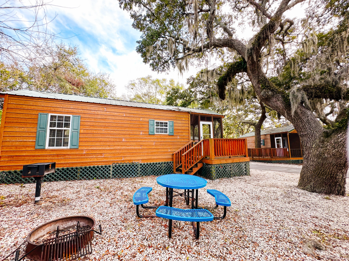 Cabin Side Yard