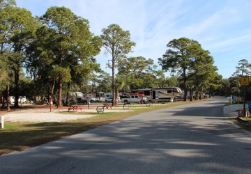 Camping savannah