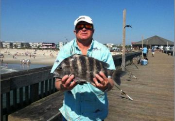 Beach Fishing Tybee Island